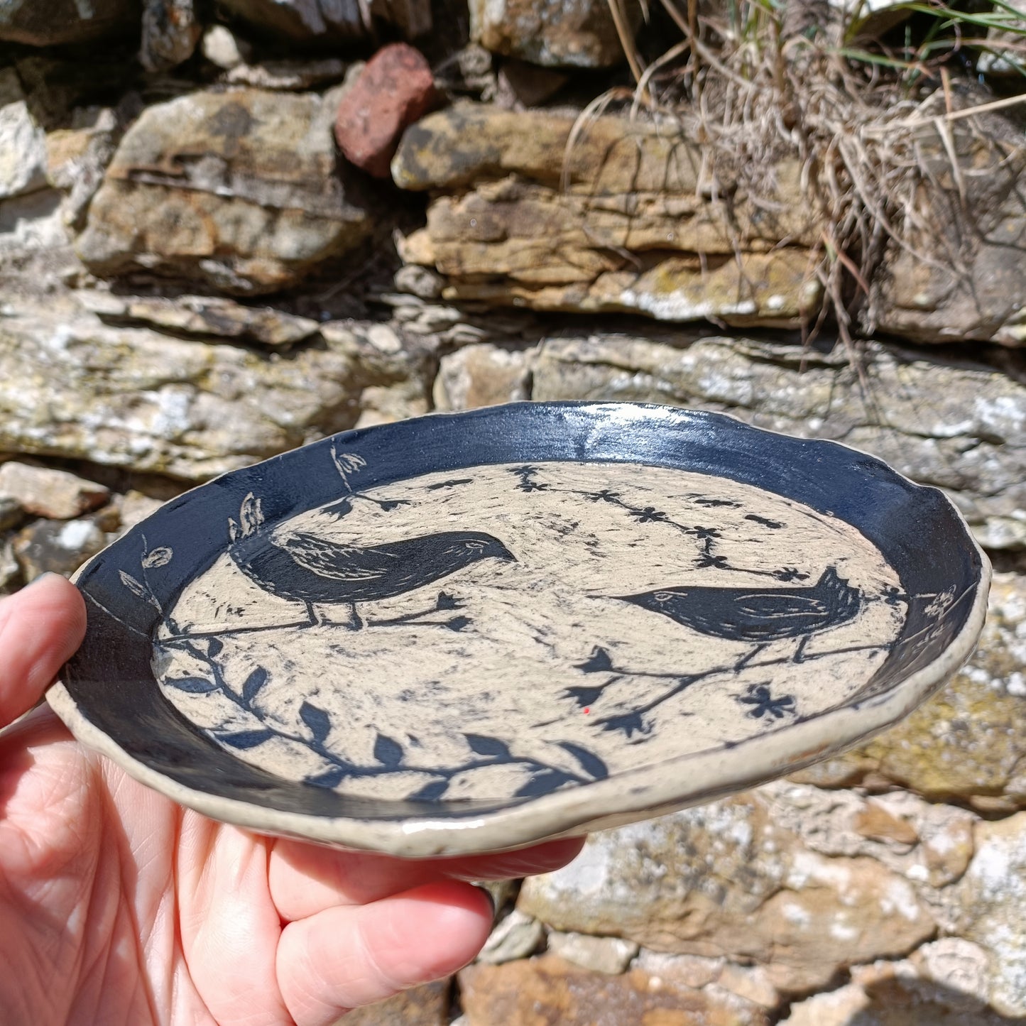 Mother and baby wren plate