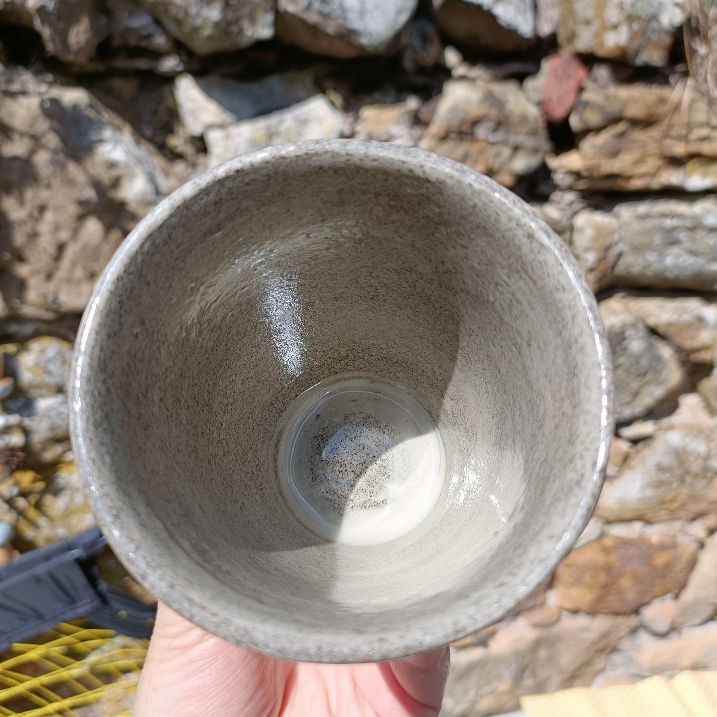 Ladybird cup