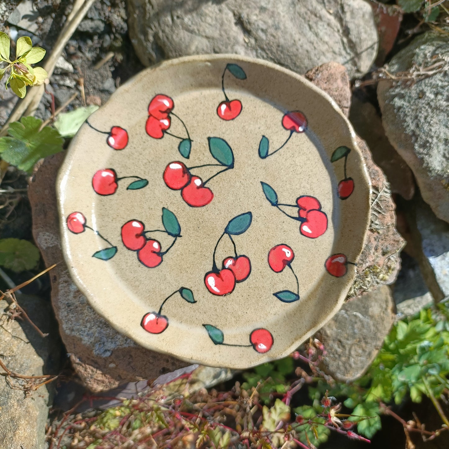 Cherry small side dish