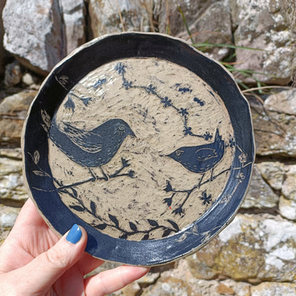 Mother and baby wren plate