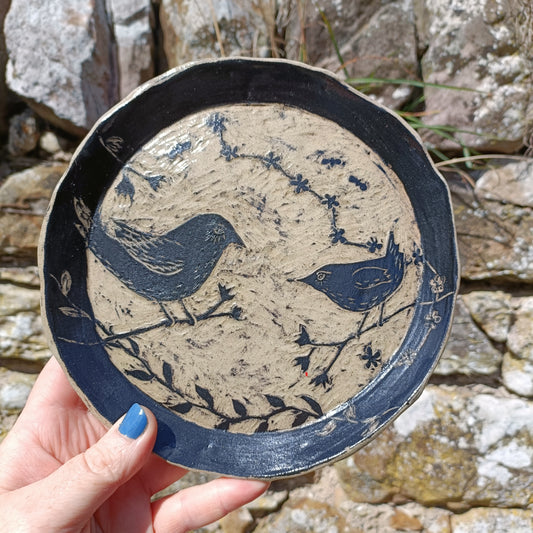 Mother and baby wren plate